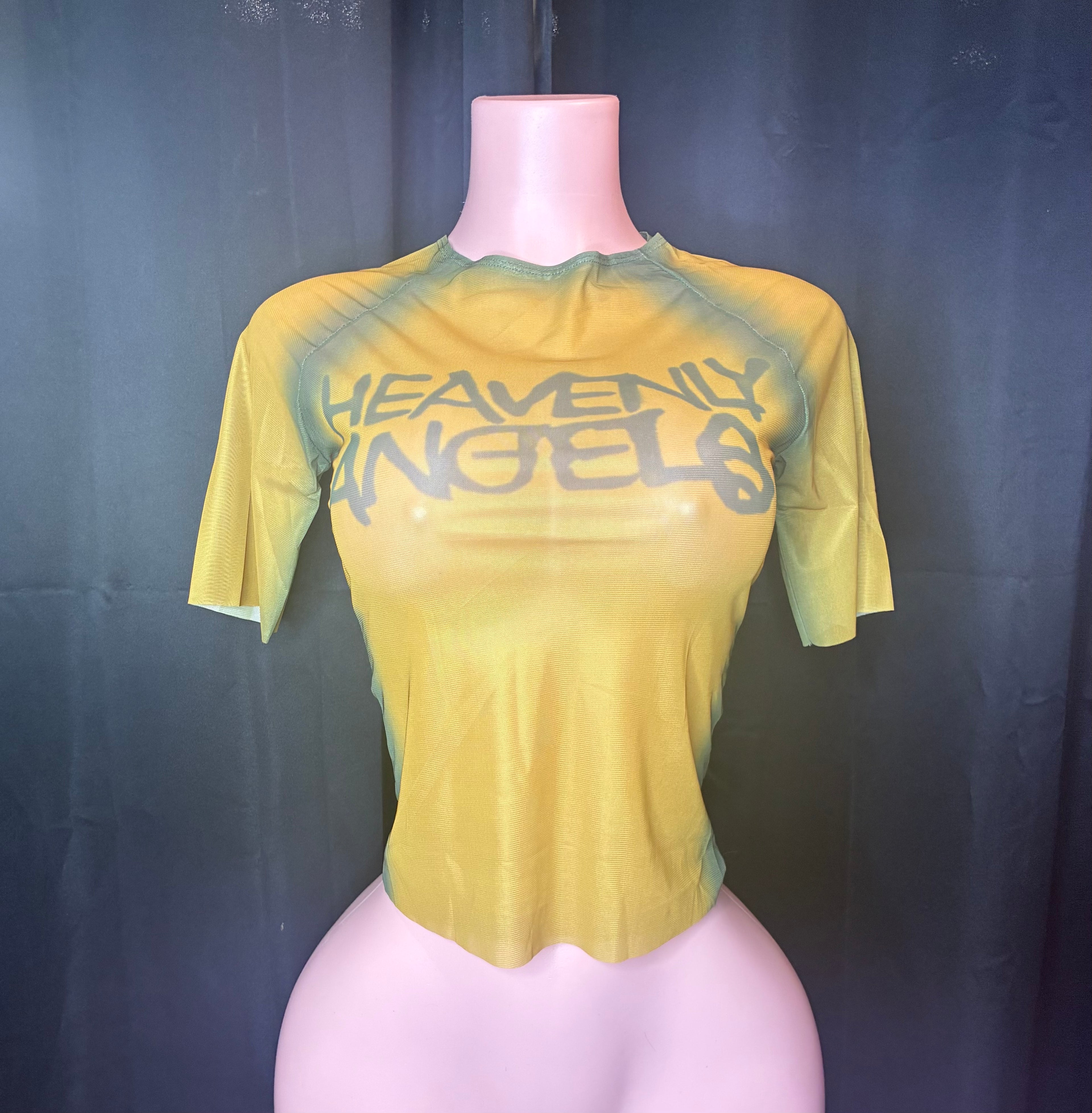 “This not Heaven” gold/green mesh top